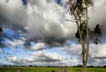 -关于快船大胜马刺，已三连胜稳坐西部第二的信息