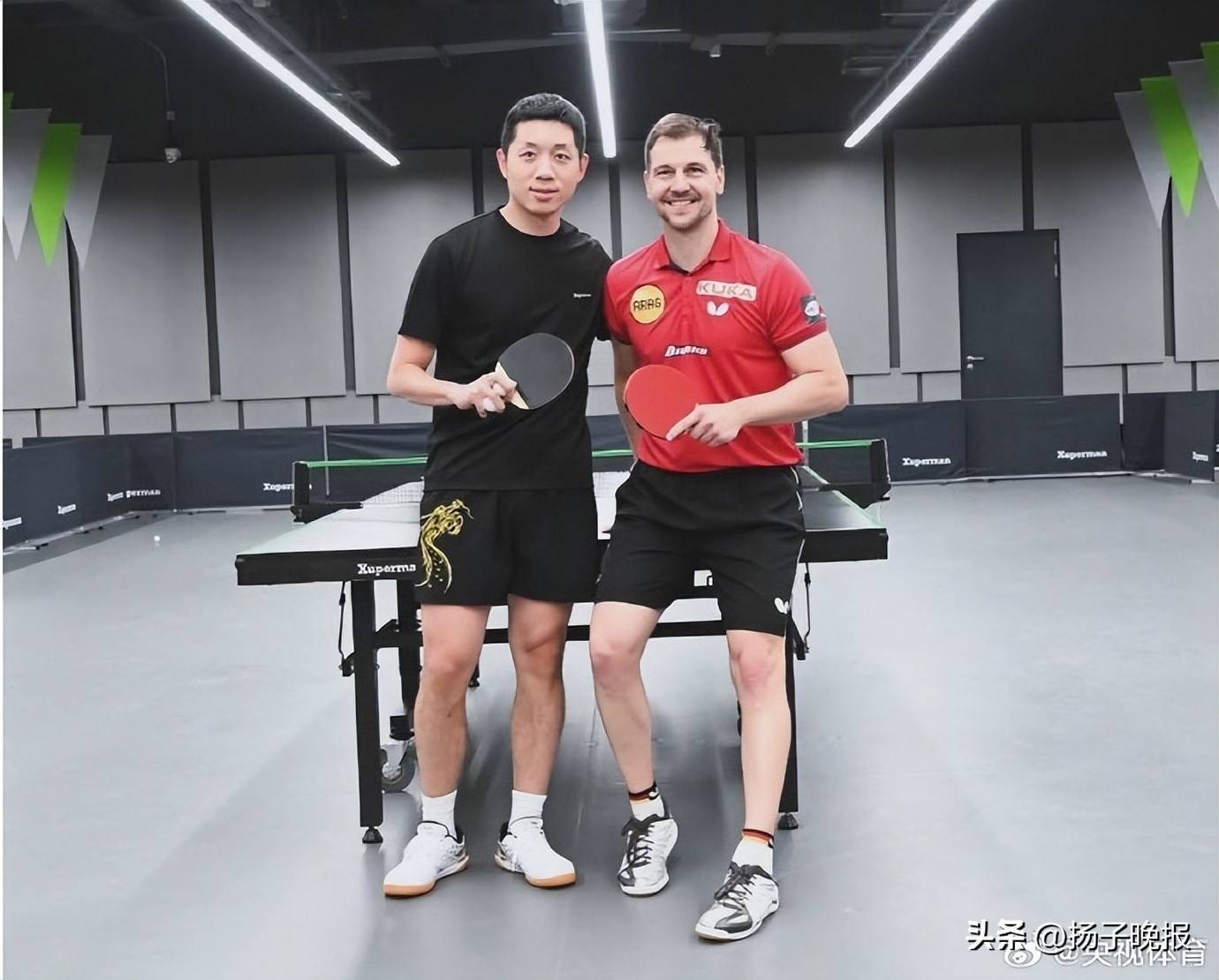 关于波兰乒乓球队横扫法国乒乓球队，波尔制霸全场的信息